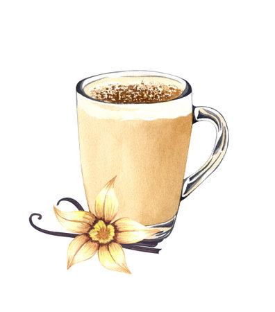 A cup of hot vanilla latte in a glass cup on white background. Watercolor illustration. vanilla flower.の写真素材
