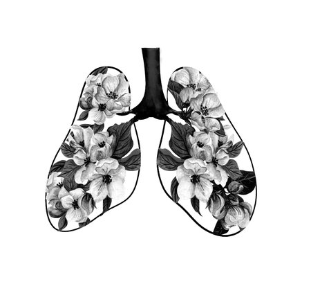 Anatomical human lungs with flowers. Floral decorative element engraved. Floral Lungs. watercolor blooming apple treeの写真素材
