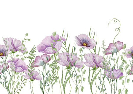 Watercolor poppy seamless border. Botanical frame of wild flowers and herbs. Summer floral compositionの写真素材
