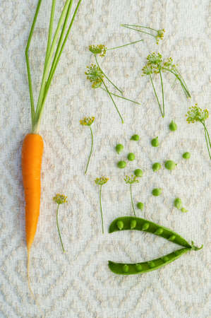carrots, peas and fennel lie on a white napkinの写真素材