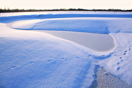 small river on winter fieldの写真素材