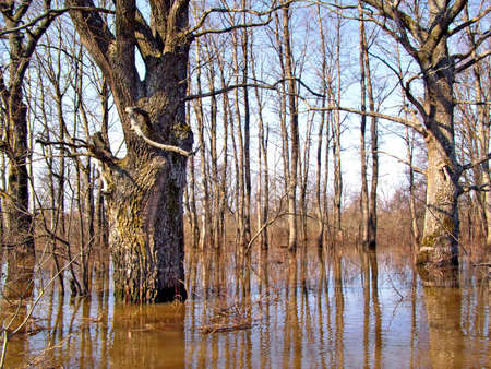 flood on riverの写真素材