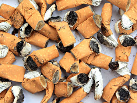 cigarette buttの写真素材