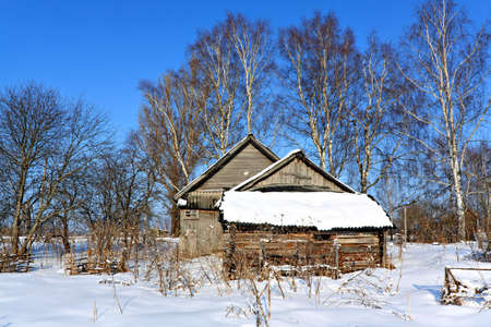 old wooden house in woodの写真素材