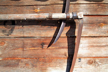 agricultural grunge backgroundの写真素材