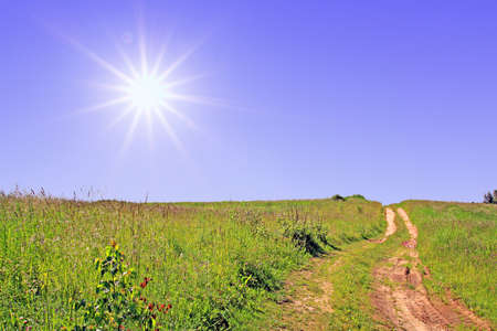 road on fieldの写真素材