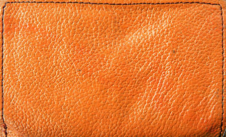 texture of the red skinの写真素材