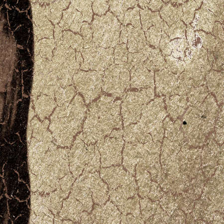 texture of the old paper with brown rift