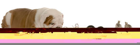 page of the old bookの写真素材