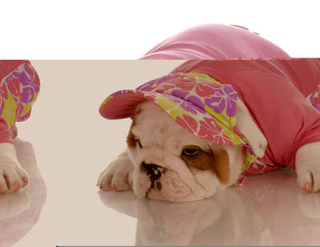 aging paperの写真素材