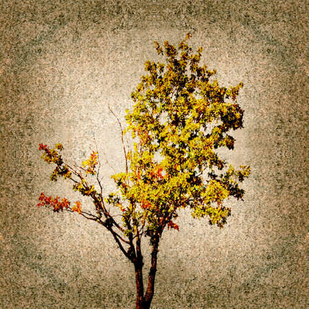 grunge abstract backgroundの写真素材