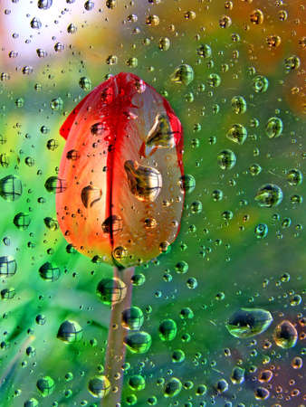 abstract background  の写真素材