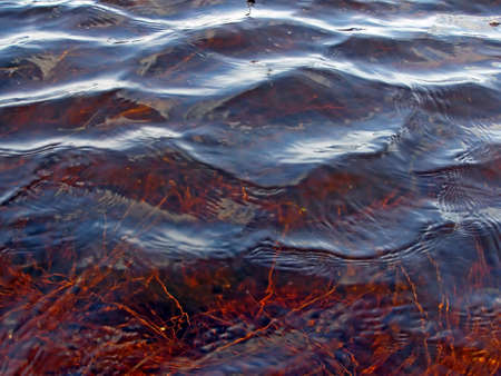 wave on river      の写真素材