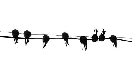 silhouette migrating swallow reposing on electric wireのイラスト素材