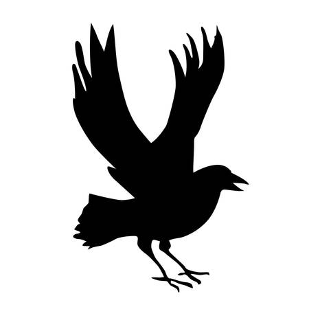 silhouette ravens on white backgroundのイラスト素材