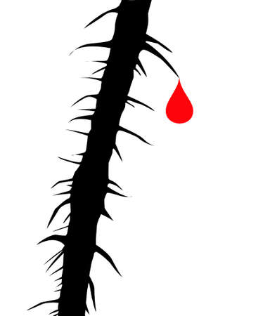 drop blood on thorn of the wild rose のイラスト素材