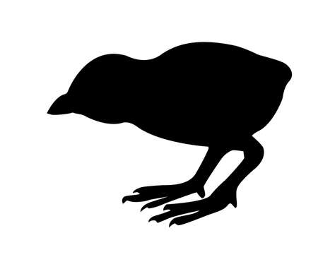 silhouette chicken on white backgroundのイラスト素材