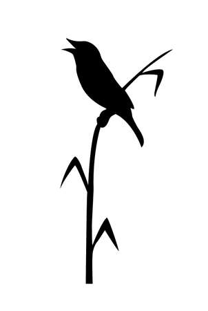 drawing of the bird sitting on reedのイラスト素材
