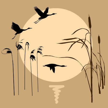 drawing flying birds on background sunのイラスト素材