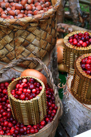 cranberry in basketの写真素材