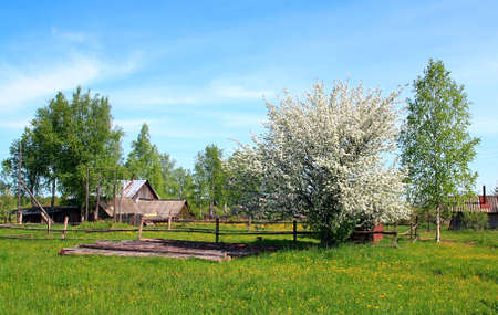 rural landscape
の写真素材