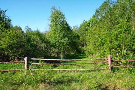 old wooden fenceの写真素材