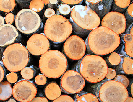 firewood aheap