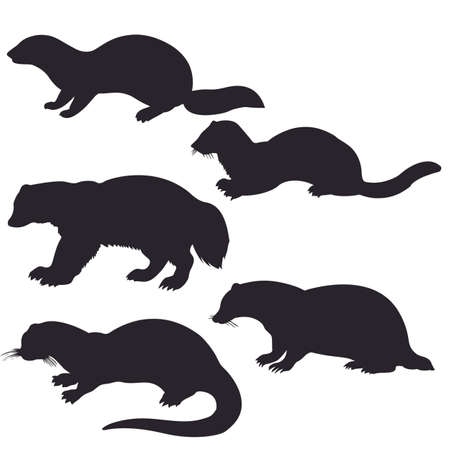  silhouettes animal on white background
のイラスト素材
