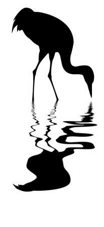  silhouette of the crane on white backgroundのイラスト素材