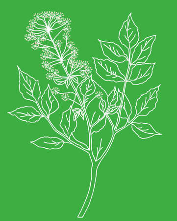  silhouette of the plant on green backgroundのイラスト素材