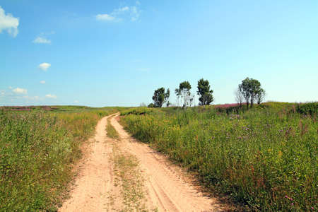 road through fieldの写真素材