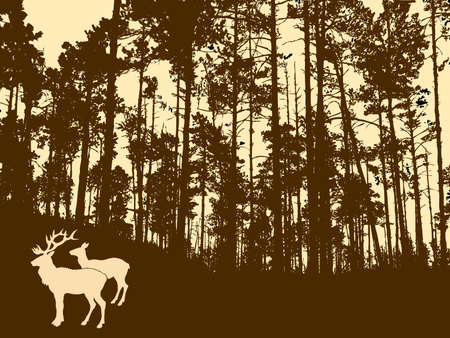  silhouette of the deers in thick wood    の写真素材