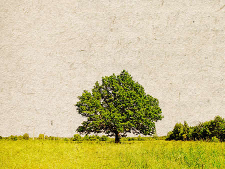 grunge backgroundの写真素材