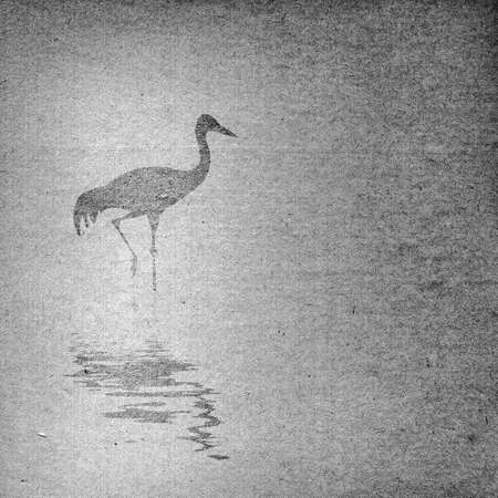 texture of the old paperの写真素材