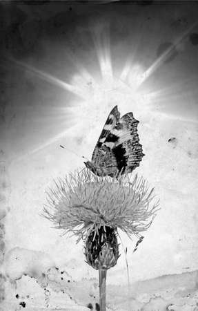 grunge backgroundの写真素材