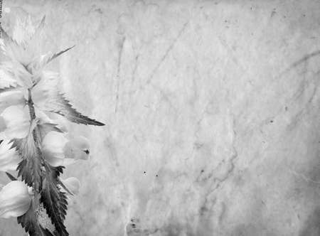 grunge backgroundの写真素材