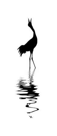  silhouette of the crane on white backgroundのイラスト素材