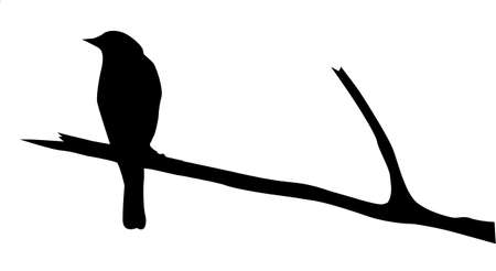 silhouette of the bird on branchのイラスト素材