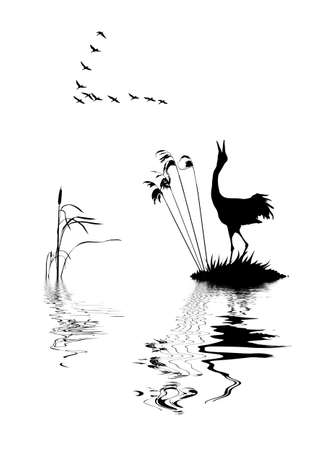  silhouette of the birds on lake    のイラスト素材