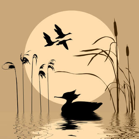   drawing flying birds on background sunのイラスト素材