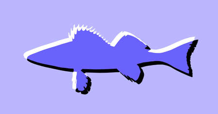   illustration of the decorative fish