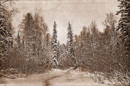 aging photographyの写真素材