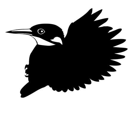   silhouette flying birds on white backgroundのイラスト素材