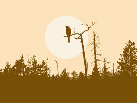  silhouette bird on tree       のイラスト素材