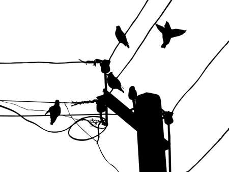   silhouette birds to waxwings on wire   のイラスト素材