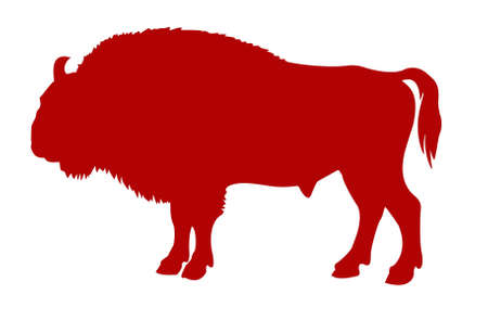 silhouette of the buffalo on white backgroundのイラスト素材