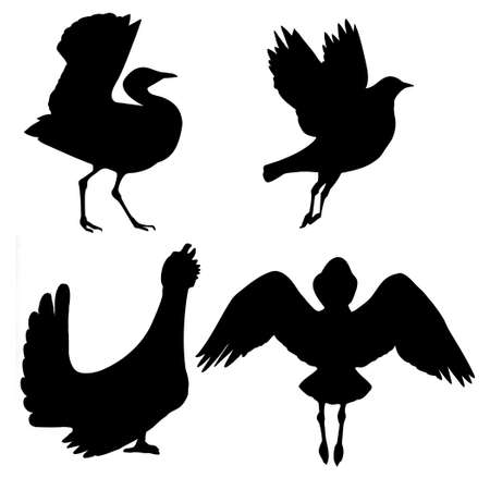 silhouette of the birds on white backgroundのイラスト素材