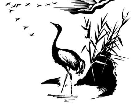 illustration of the crane on white backgroundのイラスト素材