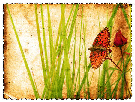 grunge floral backgroundの写真素材