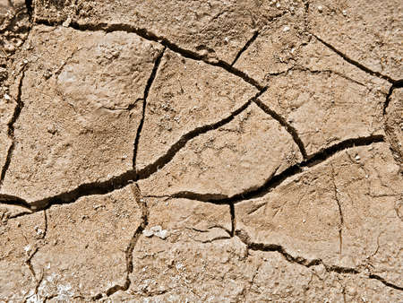 dry land